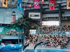 -海合安成都极地海洋公园