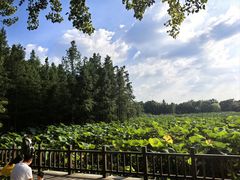 -云龙湖旅游景区