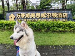 -河源万绿湖美思威尔顿酒店