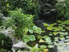 -漫渡庄绿岛花园•隐世庭园菜(滨湖店)
