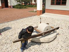 -上海长兴岛郊野公园