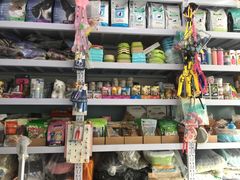 -中农大我爱我爱24h动物医院·中医针灸·猫专科·骨科医疗中心(双井店)