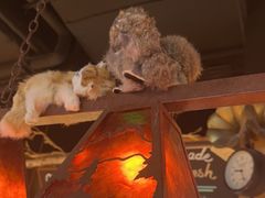 -乡田小墅(展览馆路JK FUN商城店)