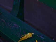 -护国法轮寺