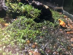 -暹罗海洋世界