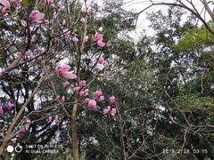 -雀儿山公园