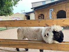 -HERRE·FARM 赫尔露营农场·团建聚会包场