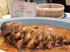 -阿五黄河大鲤鱼(海尚店)