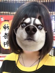 -和良形象