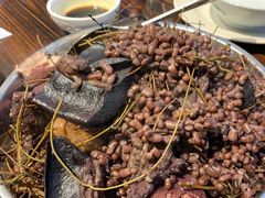 -农汤老店(顺联公园里店)