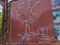 -大岭沟猕猴桃谷风景区