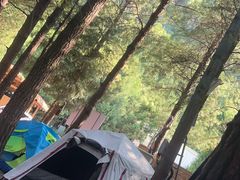 -重庆睡佛山森林公园