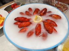 -杨氏青龙虾·羊蝎子(托乐嘉店)