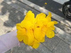 -洲头咀公园