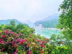 -白帝城·瞿塘峡景区