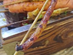 -晓靖轩烧烤(沙河风情店)