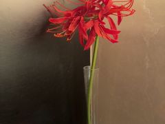 -手佳·水疗汇(杏林宁宝店)