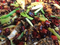 -老板恋上鱼(恒隆广场店)