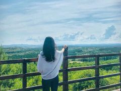 -塞罕坝国家级自然保护区