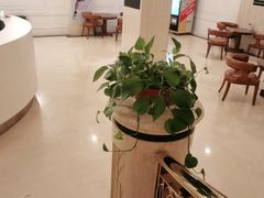 -一兆韦德(万源城店)