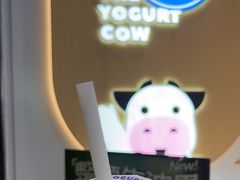 -一只酸奶牛(春熙路店)