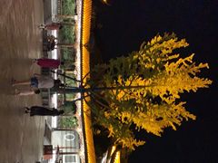 -南阳卧龙岗武侯祠