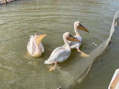 -宁波杭州湾国家湿地公园
