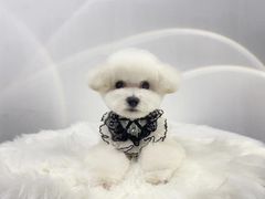 -comecome来吧宠物(奥克斯中心店)