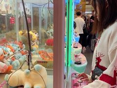 -PAWTOY爪e玩偶店(天兴罗斯福店)