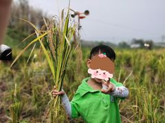 -宾果蒙特梭利托育儿童之家幼儿园(爱琴海店)