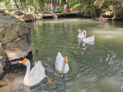 -兰亭风景区
