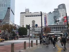 -涩谷全向十字路口