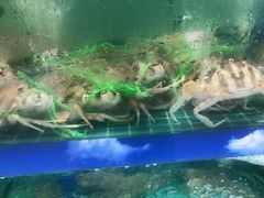 -坛南湾阿强农家乐.海鲜大排档老字号(福州地标美食店)