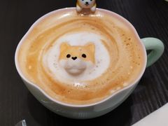 -逗柴咖啡屋·狗咖猫咖宠物桌游