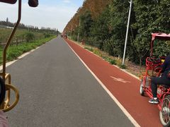 -上海长兴岛郊野公园