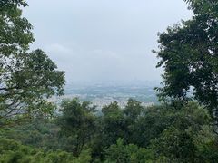 -火炉山森林公园