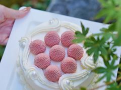-壹点壹客·生日蛋糕(南山店)
