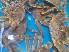 -板桥海鲜广场(文明东店)