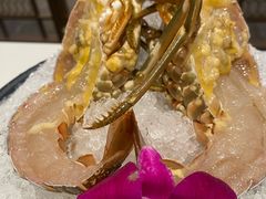 -海月轩海鲜豆捞(紫金塔店)