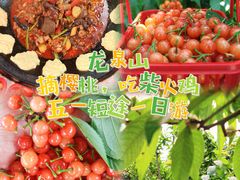 -桃源山庄·水蜜桃采摘·柴火鸡·烧烤团建(龙泉山店)
