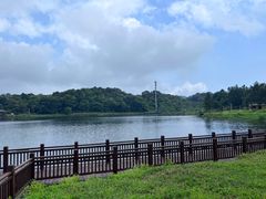 -海南热带雨林国家公园吊罗山景区