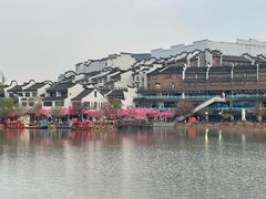 -长兴太湖图影湿地文化园