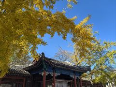 -北京石刻艺术博物馆(五塔寺)