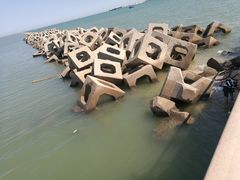 -东疆建设开发纪念公园