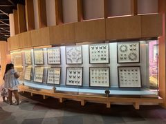 -陕西自然博物馆