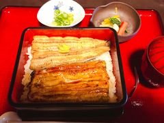 -料亭菊水楼