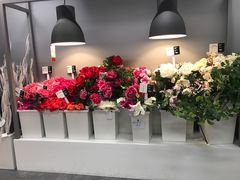 -宜家家居(哈尔滨商场店)