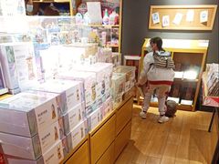 -九木杂物社(东方宝泰店)
