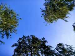 -春花秋色城市公园