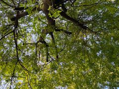 -白鹭湾湿地公园